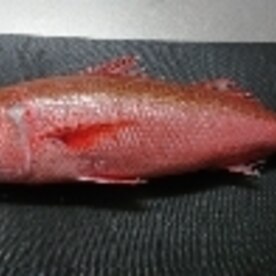 チビキの松笠刺身 レシピ 作り方 By カピバーラ 楽天レシピ チビキの松笠刺身 レシピ 作り方 By カピバーラ 楽天レシピ